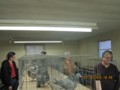 IMG_1582